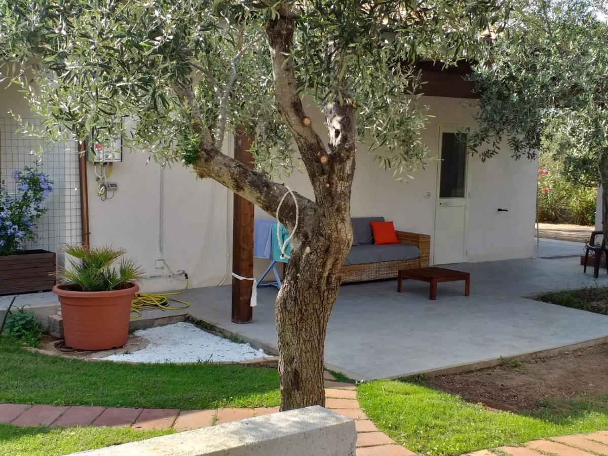 Hotel Charming Hideaway Self Check-In - Accesso Autonomo Alghero Zewnętrze zdjęcie