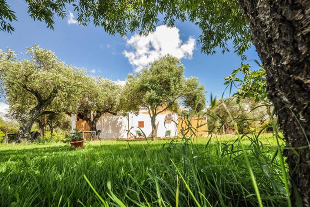 Hotel Charming Hideaway Self Check-In - Accesso Autonomo Alghero Zewnętrze zdjęcie